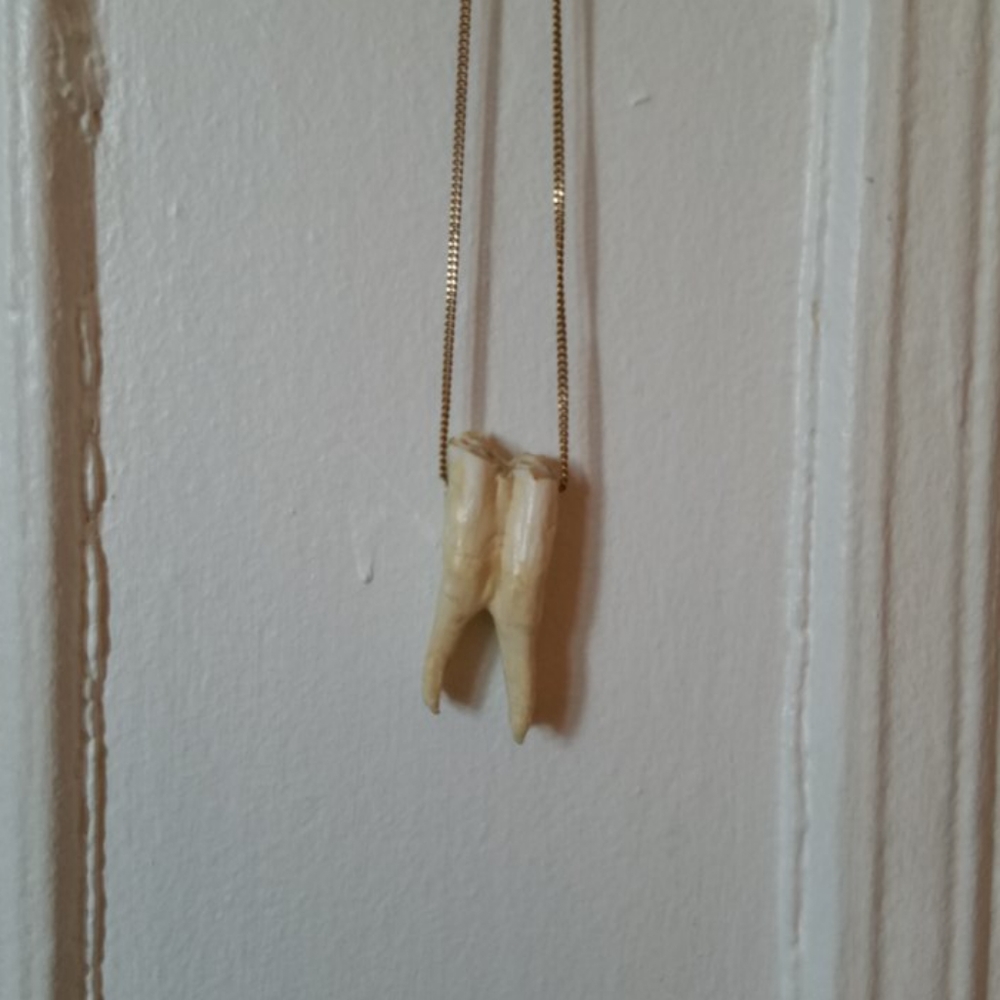 Cow's Tooth Gold Chain Necklace